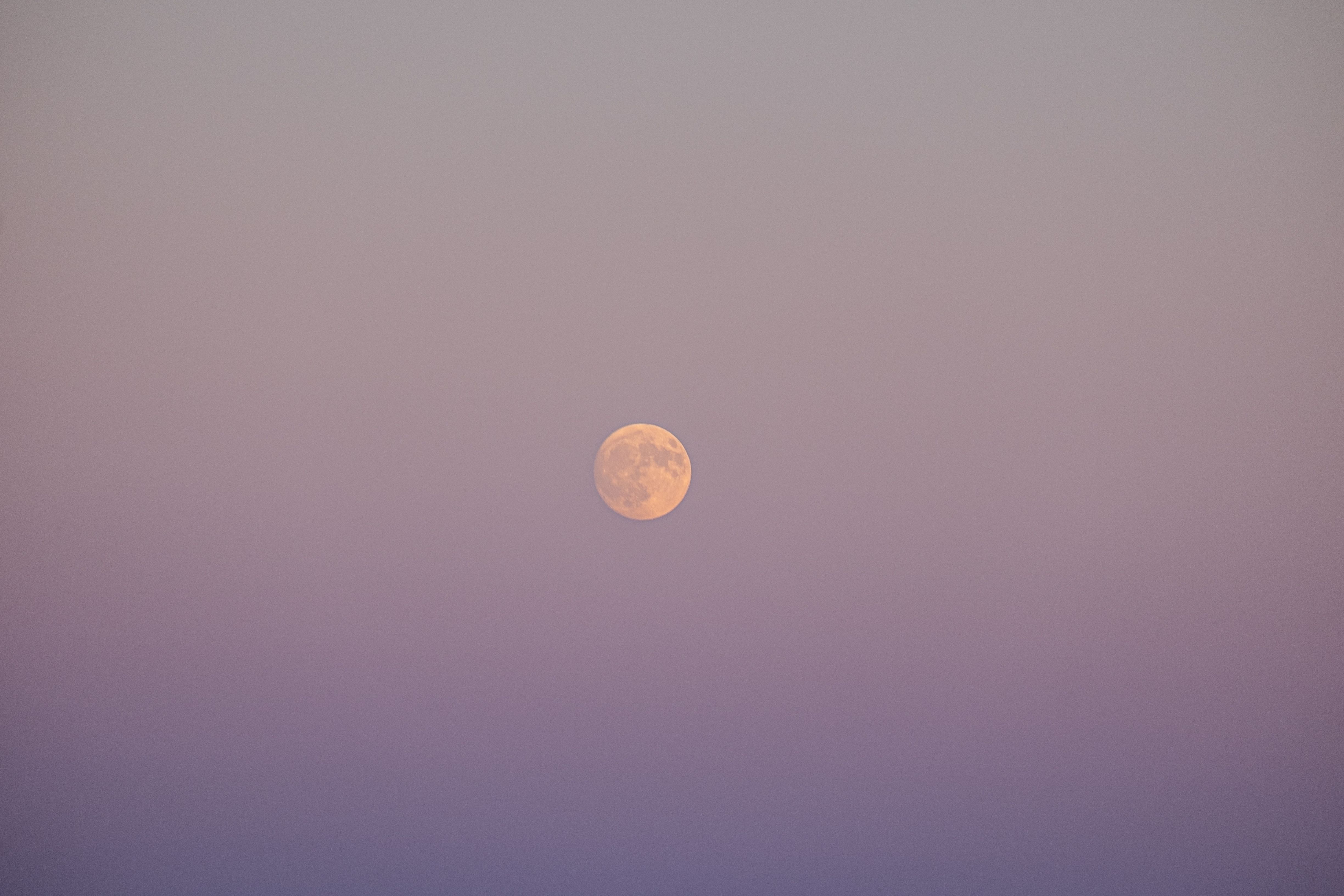 June strawberry full moon